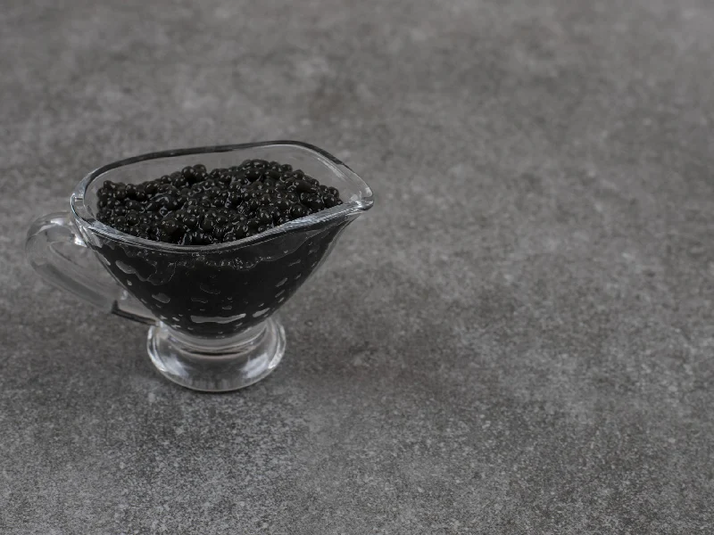 A Review of Black Pigment Types + Everything You Need to Know انتخاب بهترین رنگدانه مشکی