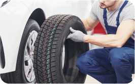 Nilgoon Rangdaneh Nilgoon Rangdaneh